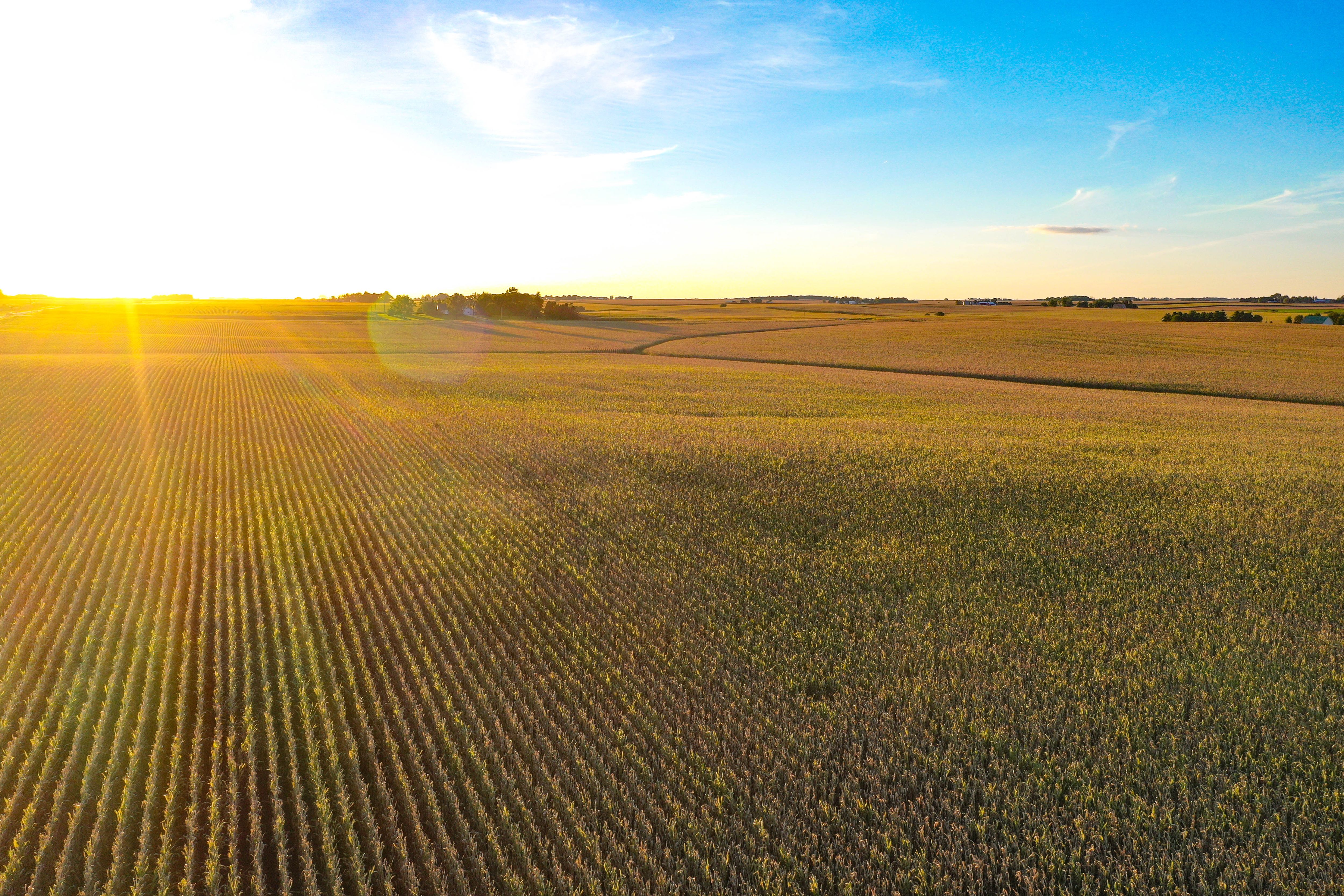 Listing Photo: 10-Butler Co IA Land Auction